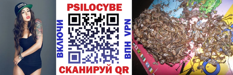 кракен онион  Плёс  Галлюциногенные грибы Psilocybine cubensis 